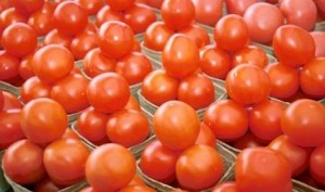 كيلو البندورة يتخطى حاجز الدينار