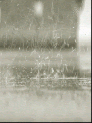 ارشادات الدفاع المدني لمواجهة المنخفض الجوي المتوقع