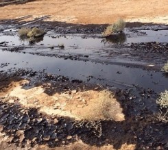 الأردن يستبعد مقاضاة إسرائيل بسبب التسرب النفطي