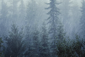 السبت .. أجواء باردة ومستقرة نهاراً.. ومنخفض جوي يؤثر ليلا