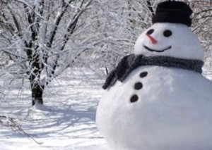 الأرصاد: الثلوج واردة في المربعانية