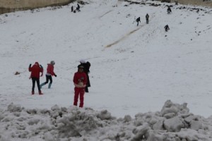 حصيلة هدى في عمان