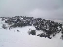 بالتفاصيل...ليلة الأربعاء_الخميس.. تجدد فرص " زخات ثلجية " فوق المرتفعات الجبلية