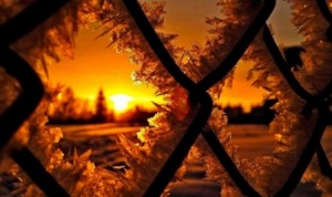 الوجه الاخر للعاصفة "هدى"... 8 وفيات وخسائر اقتصادية تقدر بالملايين