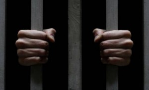 ضبط مطلوب خطير "مسجل بحقه 30 طلبا قضائيا" وأسلحة بمداهمة شقة في الجاردنز