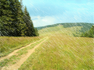 تشمّسوا من هون لآخر كانون الثاني.. الشتاء يعود بقوة بداية شباط بإذن الله