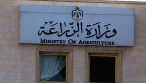 إجراءات احترازية لمنع وصول انفلونزا الطيور إلى المملكة