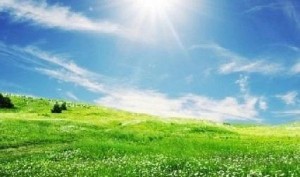 انخفاض على درجات الحرارة