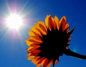 مرتفع جوي جديد