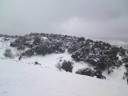 الخميس .. ثلوج على المرتفعات الشمالية..وتحذير من خطر الانزلاقات وتشكل السيول