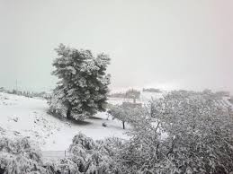 بالتفاصيل...تقرير رقم (5) ....العاصفة الثلجية جنى تستمر اليوم وتمتد للمناطق الجنوبية وتنحسر تدريجياً غداً السبت