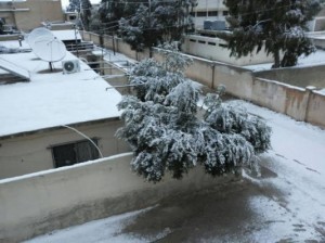 بالصور.. ثلوج غير مسبوقة في الزرقاء