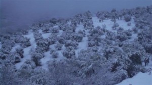 تفاصيل جديدة حول العاصفة الثلجية "هبه" المتوقع وصولها يوم الأربعاء