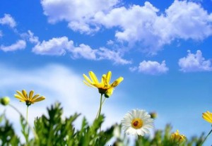 أجواء دافئة وربيعية ..