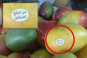 "الزراعة" تؤكد السماح باستيراد فواكه وخضار من اسرائيل