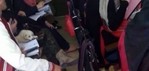 بالصورة...طالبة تصطحب "كلبتها" داخل قاعة محاضرات في احدى الجامعات الحكومية !