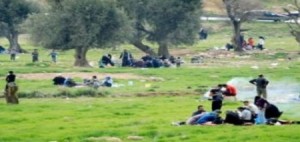 تحذير .. لا تتنزهوا في هذه الأماكن تحت طائلة المساءلة القانونية