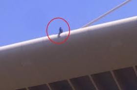 عشريني يحاول الانتحار من فوق جسر بالكرك بسبب معاناته المادية