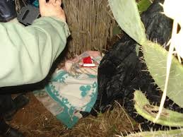 قاتل الفتاة التي عثر عليها منذ اشهر في منطقة برقش هو ...