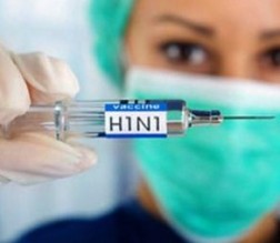 10 وفيات و 300 إصابة بالخنازير ... و الصحة : الارقام دون الحدود طبيعية