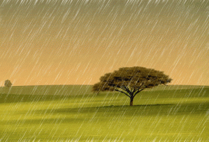 حالة الطقس الى الأحد ..