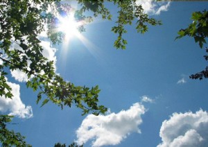 الخميس.. انخفاض ملموس على الحرارة وأجواء ربيعية