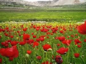 الأحد .. أجواء ربيعية