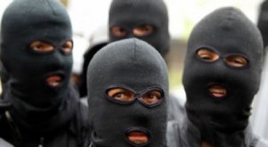 شاهد بالفيديو .. عصابة خطيرة تسرق البيوت وتنهب المحلات في شفا بدران