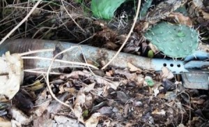 ارتفاع ضحايا انفجار قنبلة بالأغوار إلى 3 بوفاة "علي"..وذووه يرفضون استلام جثمانه