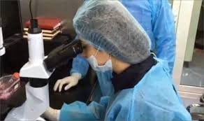 الكاتب السعودي د. محمد ناهض القويز وخلاياه الجذعية الكاذبة التي يحاول زرعها في انجازات الأردن الطبية