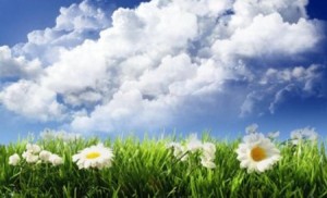 السبت .. أجواء معتدلة نهارا ولطيفة ورطبة ليلا