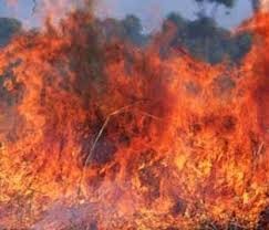 مفتعلو الحرائق بعجلون ينشرون إطارات مشتعلة بين الغابات