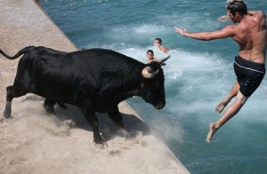 قتل ثور هائج فرّ من باخرة في العقبة