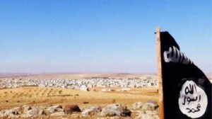 داعش يكسب نحو 200 مليون دولار سنويا من تصدير القمح