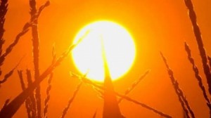 طقس الإثنين: الحرارة تلامس 40 مئوية في أجزاء من العاصمة عمّان