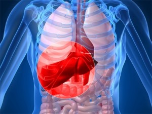 اربد..الصحة تؤكد تسجيل 6 حالات كبد وبائي في مندح ..ومواطنون يؤكدون انتشار المرض