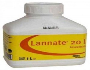 تسمم 3 فتيات تناولن مادة اللانيت وطفلة تناولت الكاز في لواء بني كنانة باربد