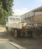 النائب عساف الشوبكي يكشف فضيحة بيع ( خراف) ميته للمسالخ .. شاهدوا الصور