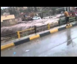 بالفيديو كيف جرفت السيول المركبات في الشونة الشمالية اليوم ..!