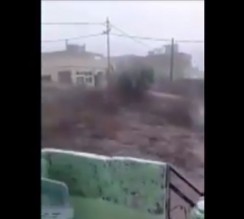 فيديو مذهل للسيول الجارفة بالشونة الخميس..