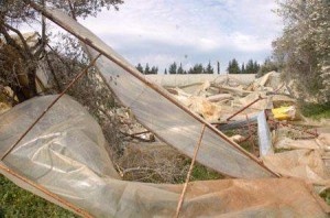 خسائر فادحة بالاغوار الوسطى ..