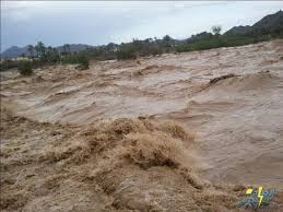 بالفيديو .. مواطن يستهجن رد وزيرة التنمية الاجتماعية : مين حكالك تسكن بالطابق السفلي .. والوزيرة: همنا إغاثة المنكوبين