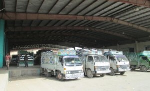 تصدير منتوج الخيار إلى إسرائيل يرفع أسعاره 50 %