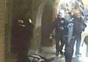 بالفيديو ..استشهاد فلسطيني بعد طعنه جندي من حرس الحدود في باب العامود بالقدس