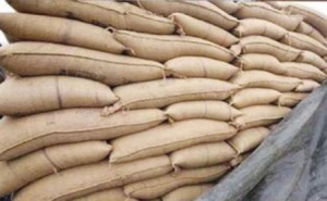 بدء تحميل شحنة القمح البولندية تمهيدا لإعادة تصديرها