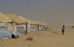 مخيم الزعتري .. لاجىء سوري يقتل ابنه (13) عاماً بسبب دينارين