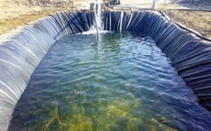 البرك الزراعية تصطاد الأطفال في الأغوار...الى متى؟!