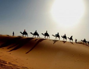 (الجلوة) دفعت الأبرياء لاستجداء الحاجة