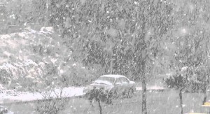 الأرصاد: ثلوج على 700 متر..