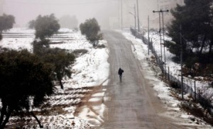 بعد "تخبط" التكهنات الجوية .. "الأمانة" غاضبة من مراكز التنبؤات الجوية وتدرس التعاقد مع هيئة متخصصة